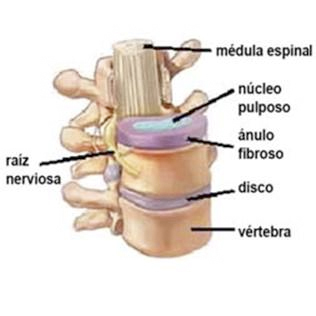 001-hernoia-dic-2015