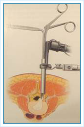 01-act-junio-image004