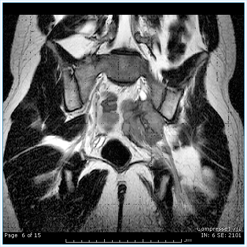 01-act-junio-image008
