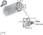Figura 1. Esquema que muestra la estructura de un nervio periférico. Figura 1. Esquema que muestra la estructura de un nervio periférico.
