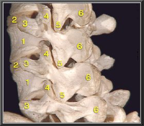 01-bloqueo-raquideo-nov-2015