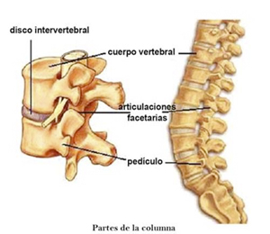 01-discopatia-cervical-dic-2