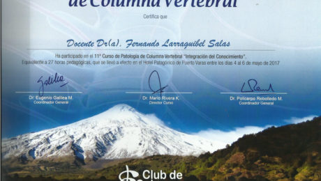 11-curso-de-patologia-de-columna-dr-fernando-larraguibel