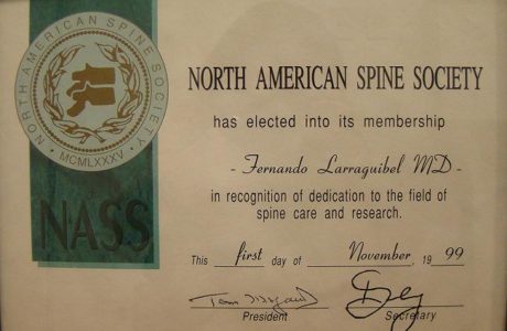 North American Spine Society