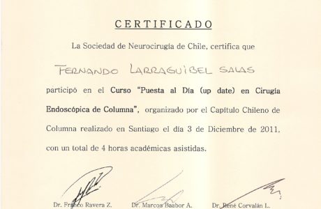 Sociedad de Neurocirugia de Chile